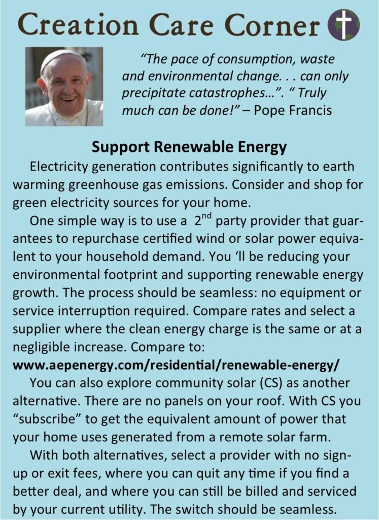 03 Green electricity R4