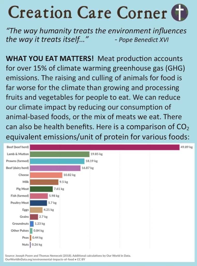 1 Meat Consumption r3 GB draft 1
