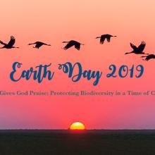 earth day 2019 birds