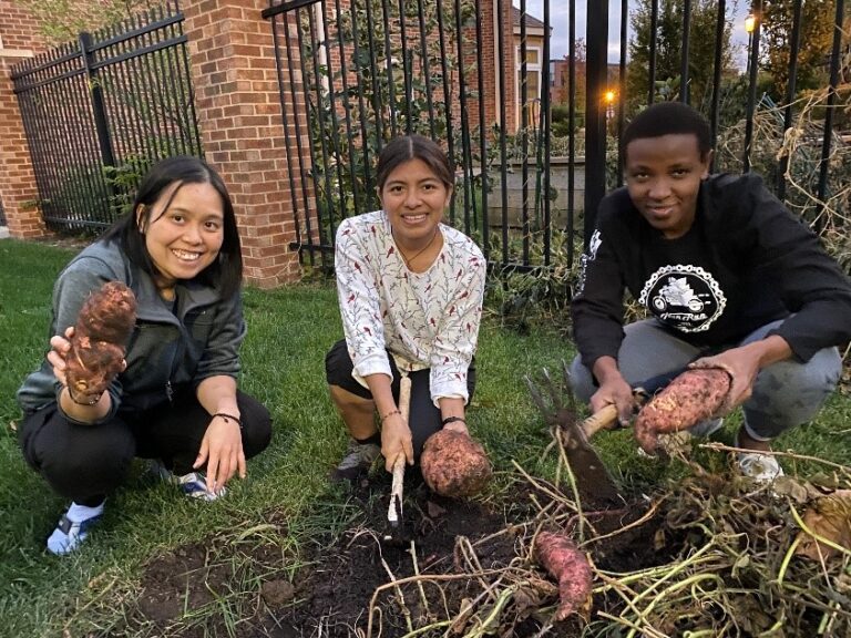 A young Asian religious novice in a gray shirt holds up a yam, while a young Hispanic novice in a white shirt holds a spade and a yam, while a young Black novice in a black sweatshirt holds a hoe and a yam. The three are crouched by a fresh pile of dirt in a garden.