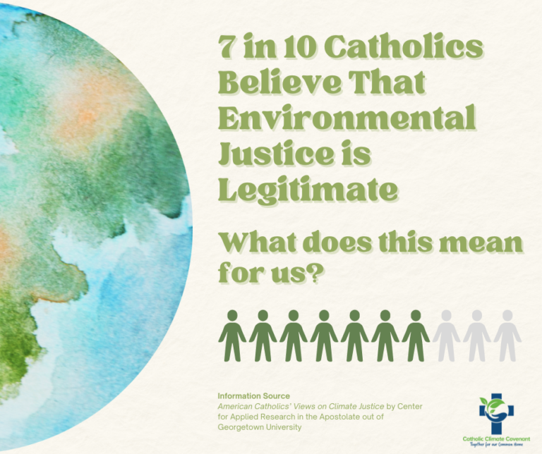 A graphic of a watercolor globe that reads "7 in 10 Catholics believe that environmental justice is legitimate. What does this mean for us?"