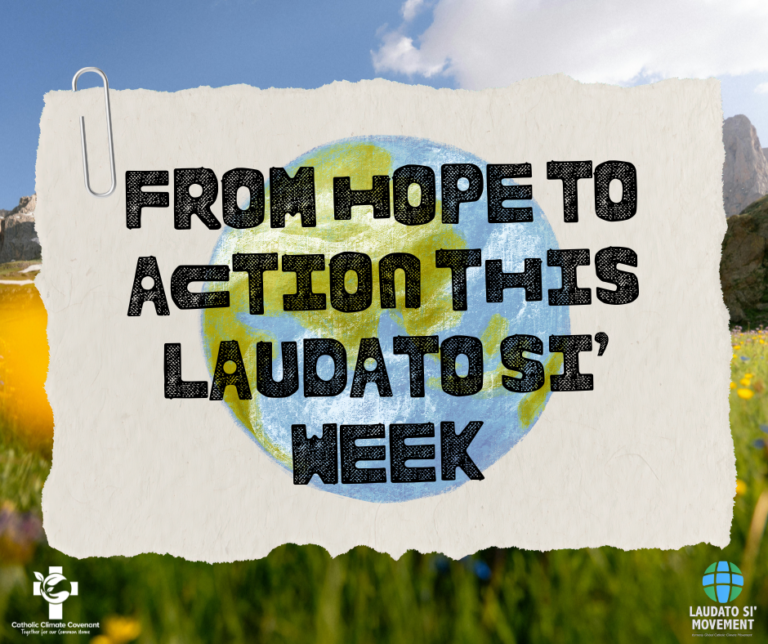 Laudato Si Week Blog
