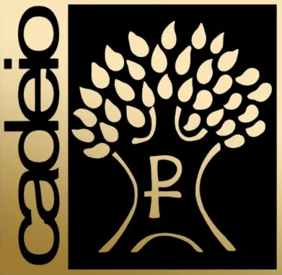 cadeio logo 1