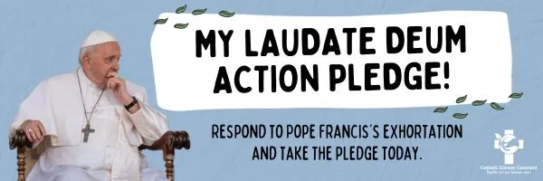 My Laudate Deum Action Pledge Banner